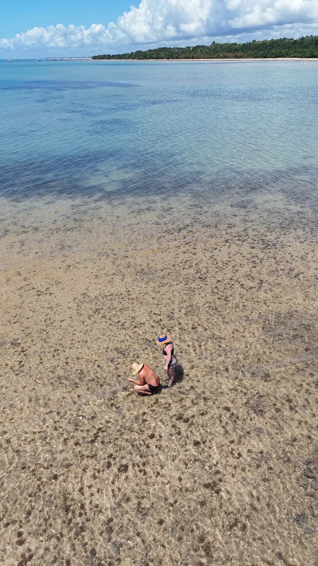 Água transparente e fundo de areia durante a maré baixa